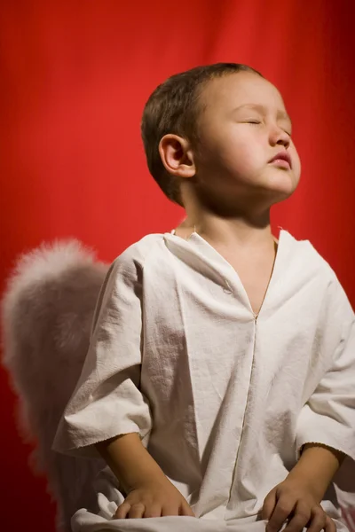 Маленький мальчик ангел — стоковое фото