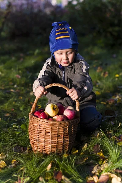 Pojke med äpplen — Stockfoto