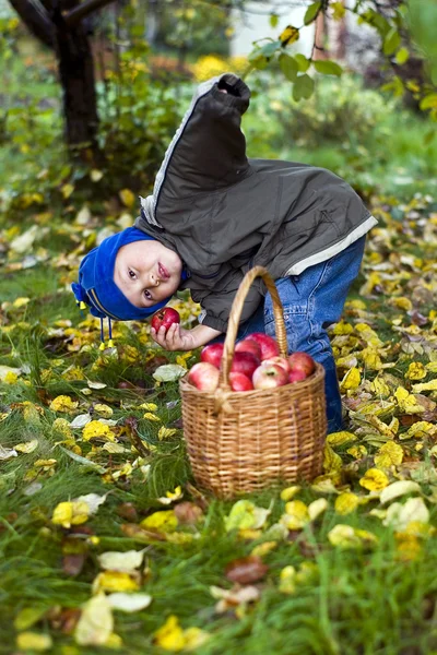 Pojke med äpplen — Stockfoto