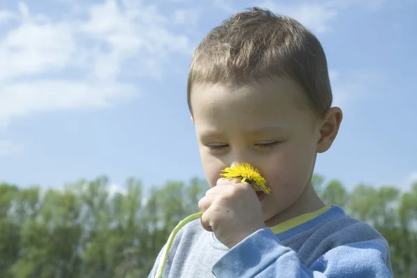 Beautiful funny Boy and dandelion — Stock Photo, Image