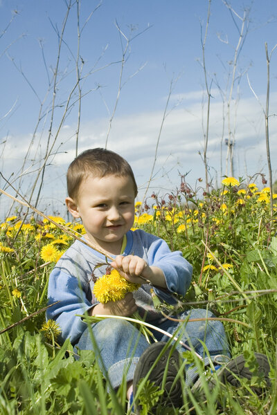 Beautiful funny Boy and dandelion