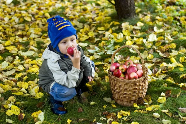 Junge mit Äpfeln — Stockfoto