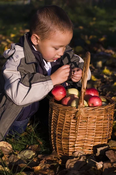 Niño con manzanas —  Fotos de Stock