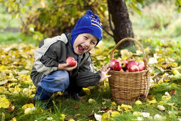 Niño con manzanas — Foto de Stock