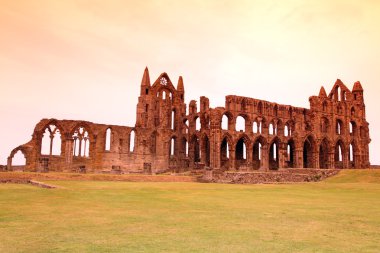 Whitby abbey Kalesi, whitby oturtulmuş yıkık benedictine abbey