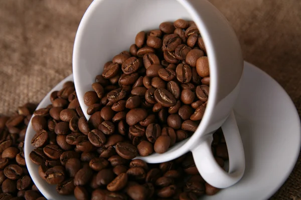 Coffee beans — Stock Photo, Image