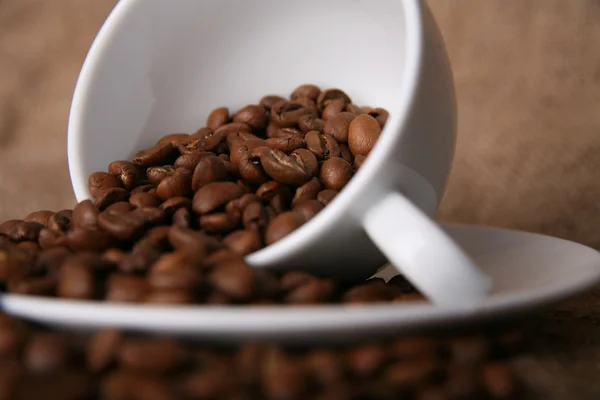 Coffee beans — Stock Photo, Image