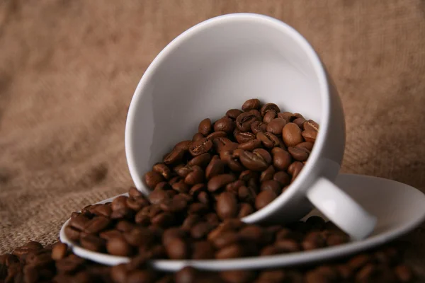 Kaffebønner – stockfoto