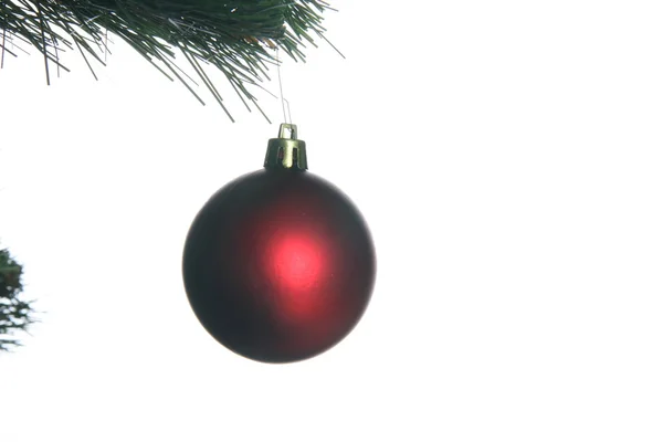 Weihnachtsbaum — Stockfoto