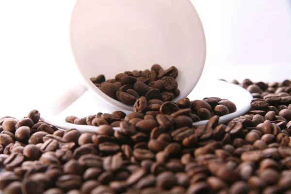 Cup and Background coffee beans . — Stock Photo, Image