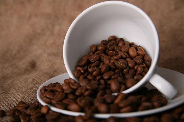 Coffee beans — Stock Photo, Image