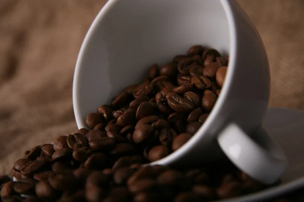 Coffee beans — Stock Photo, Image