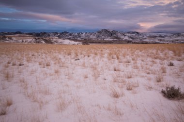 çayır otları ve bridger dağlar, park ilçe, montana, ABD