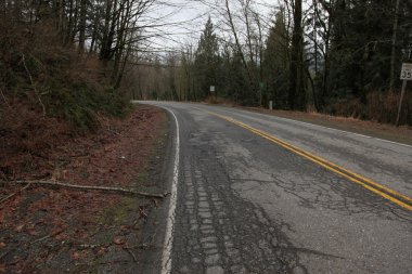 ağaçları ile kaplı yol