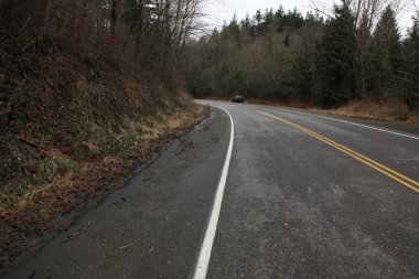 ağaçları ile kaplı yol