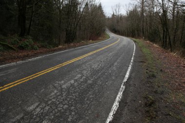 ağaçları ile kaplı yol