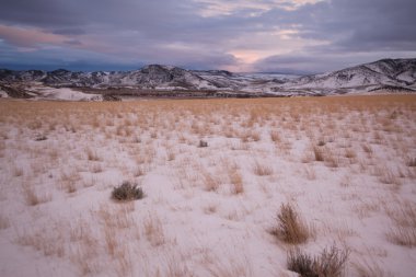 çayır otları ve bridger dağlar, park ilçe, montana, ABD