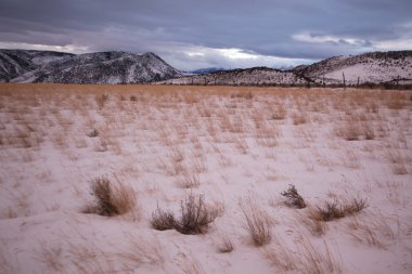 çayır otları ve bridger dağlar, park ilçe, montana, ABD