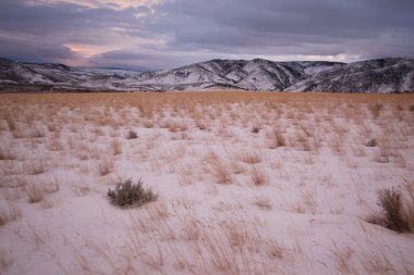 çayır otları ve bridger dağlar, park ilçe, montana, ABD