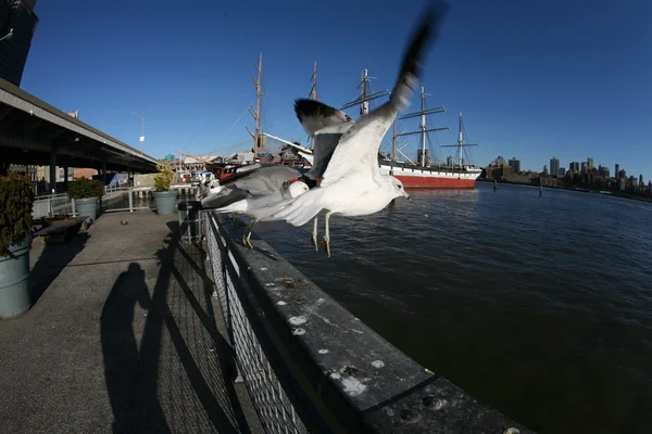 Het helen mcallister werd gebouwd in 1900 heeft gediend als een kolen-vervoer en een sleepboot voor aankomst in de south street seaport in new york city — Stockfoto