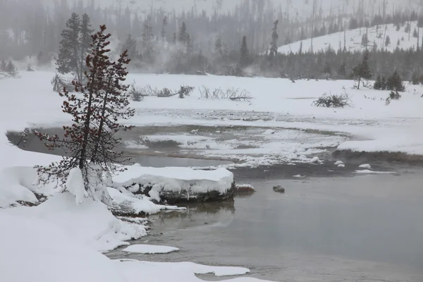 Warmwaterbron binnen het caldera. het Nationaalpark Yellowstone — Stockfoto