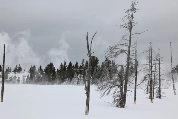 Fonte quente dentro da caldeira. Parque Nacional de Yellowstone — Fotografia de Stock