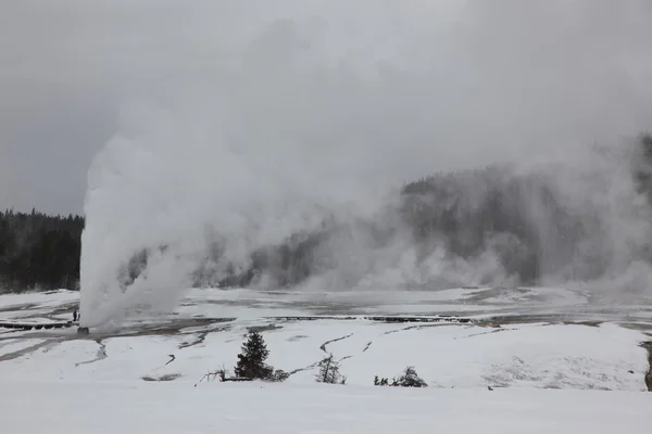 Una sorgente calda dentro la caldera. Parco nazionale di Yellowstone — Foto Stock