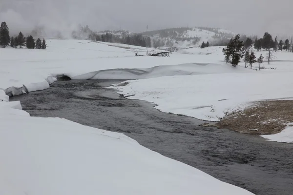 Fonte quente dentro da caldeira. Parque Nacional de Yellowstone — Fotografia de Stock