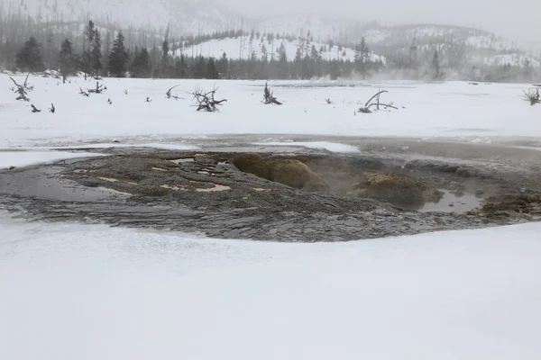 Fonte quente dentro da caldeira. Parque Nacional de Yellowstone — Fotografia de Stock