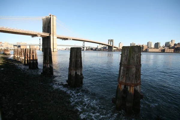 Brooklyn bridge — Stock Photo, Image