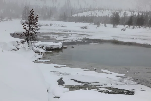 Varma våren inne i kalderan. Yellowstone nationalpark — Stockfoto