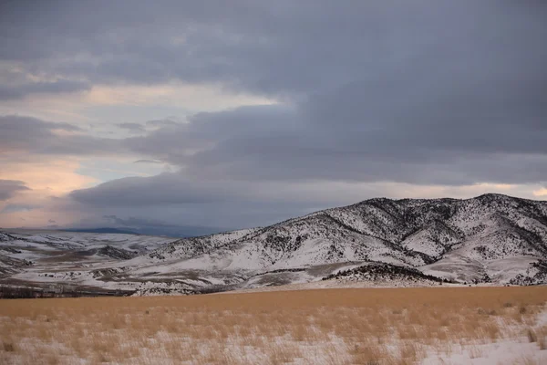 Präriegräser und die Bridger Mountains, Park County, Montana, USA — Stockfoto