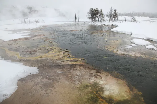 Hot spring wewnątrz kaldery. park narodowy Yellowstone — Zdjęcie stockowe