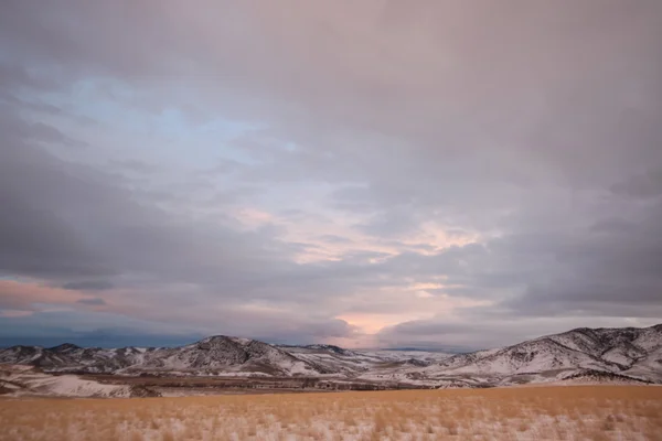 Prairie grass and the The Bridger Mountains, Park County, Montana, États-Unis — Photo