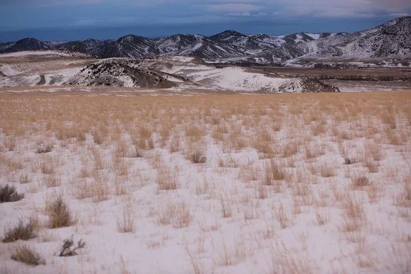 Prairie grasses and the Bridger Mountains, Park County, Montana, USA — стоковое фото