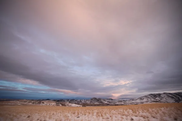 Prairie grass and the The Bridger Mountains, Park County, Montana, États-Unis — Photo