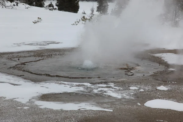 Varma våren inne i kalderan. Yellowstone nationalpark — Stockfoto