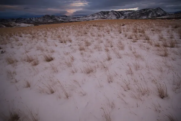 Prairie grasses and the Bridger Mountains, Park County, Montana, USA — стоковое фото