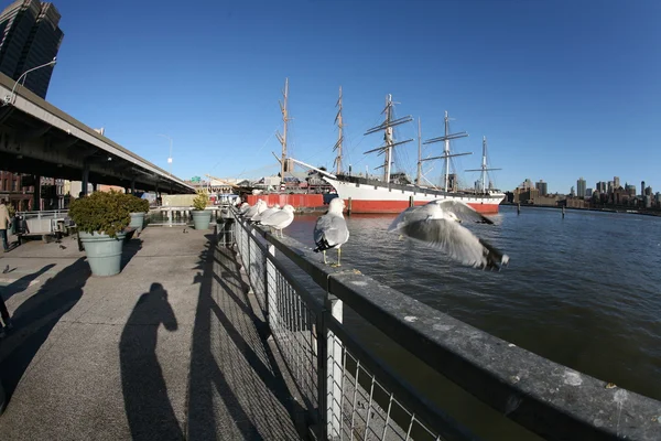 The Helen McAllister was built in 1900 has served as a coal transport and a tugboat before arriving at the South Street Seaport in New York City — Stock Photo, Image