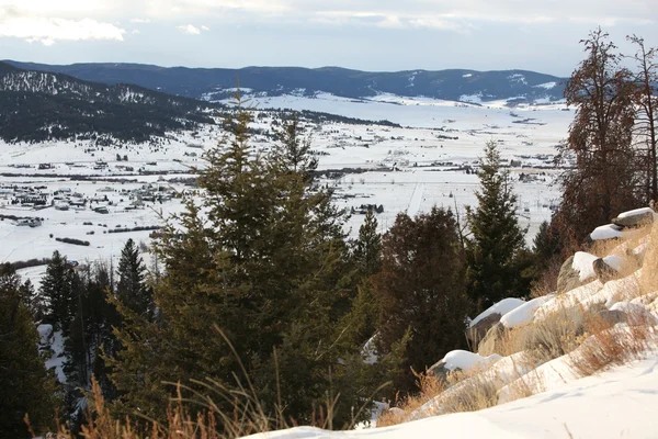 Mount bovenaan staat van washington. Yellowstone np usa. — Stockfoto