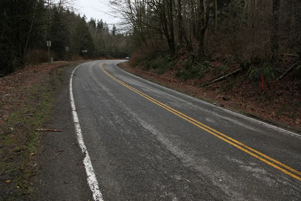 Road lined with trees — Stock Photo, Image