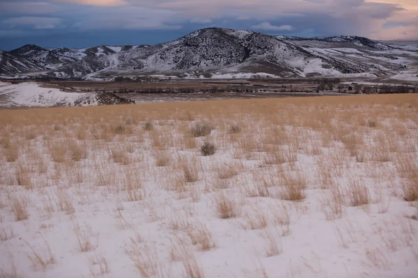 Gramíneas da pradaria e as montanhas Bridger, Condado de Park, Montana, EUA — Fotografia de Stock