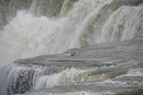 Amerikanska falls - niagara vintertid — Stockfoto