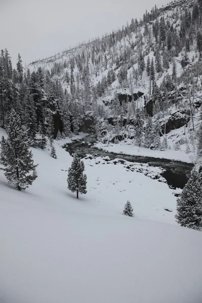 Buzul Ulusal Parkı Montana — Stok fotoğraf