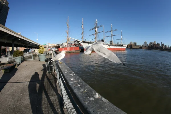 El Helen McAllister fue construido en 1900 ha servido como transporte de carbón y remolcador antes de llegar al puerto de South Street en la ciudad de Nueva York — Foto de Stock