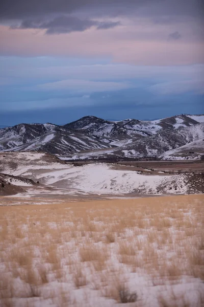 Prairie grasses and the Bridger Mountains, Park County, Montana, USA — стоковое фото