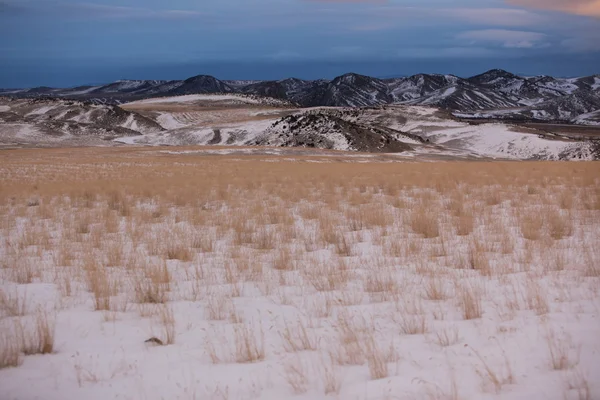 Prairie grass and the The Bridger Mountains, Park County, Montana, États-Unis — Photo