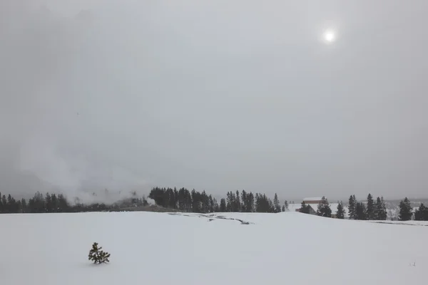 Fonte quente dentro da caldeira. Parque Nacional de Yellowstone — Fotografia de Stock