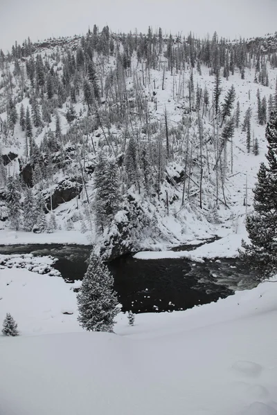 Gleccser Nemzeti Park Montana — Stock Fotó