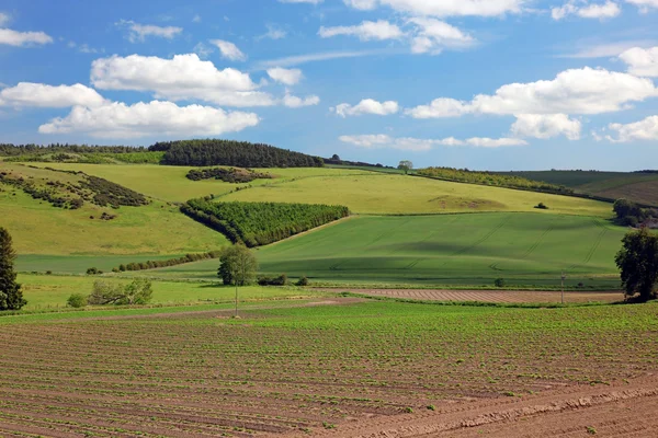 Classic Rural England — Stock Photo, Image